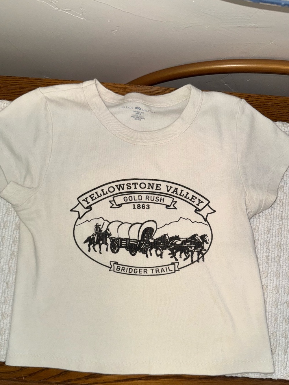 Brandy Melville Yellowstone Valley Gold Rush Tee